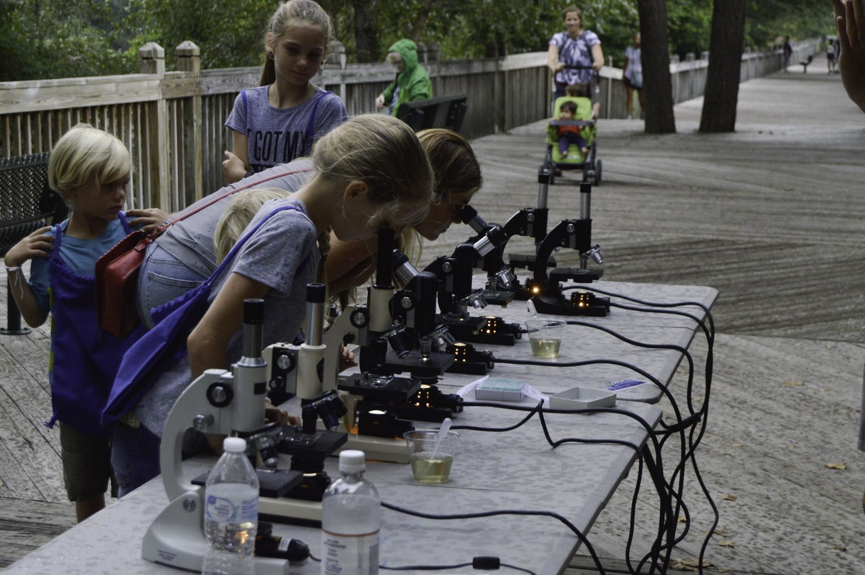 20190810-_DSC6933.jpg